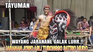 Wayang Jaranane Ngamuk/Galak Lurr‼️ Tayuman Jaranan Jowo Asli Turonggo Satrio Mudo Banjaranyar, Kras