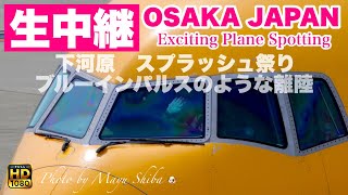 🔴 LIVE OSAKA ITAMI Airport 2025/6/14 大阪伊丹空港   ライブカメラ