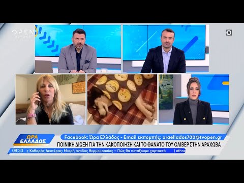 Ποινική δίωξη για την κακοποίηση και τον θάνατο του Όλιβερ στην Αράχωβα–Τι λέει η Ανθούλα Ανάσογλου