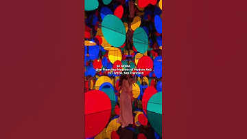 Delve into San Francisco’s vibrant cultural scene with a visit to these five must-see museums