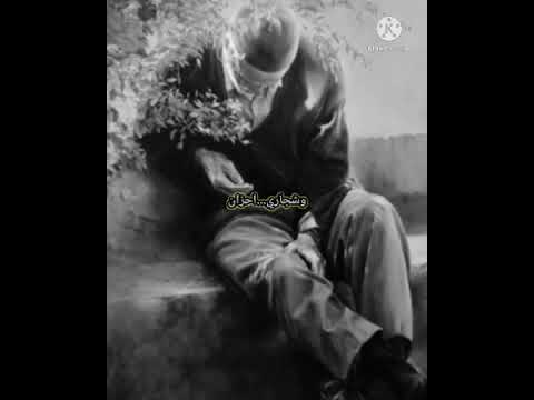 سعدي الحلي شايل صبر