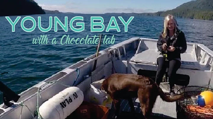Young Bay , Vancouver west coast