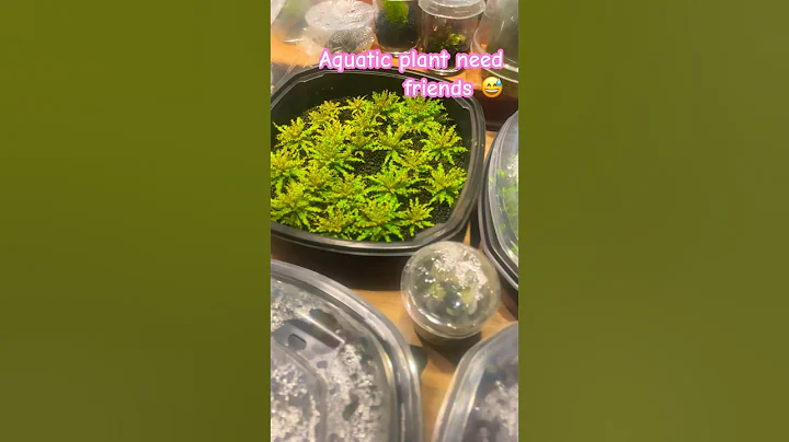 Okay, I’m just gonna get one 🌱… 😅  #shorts #viral #memes #funny