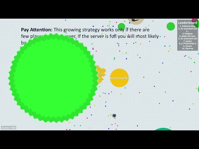 A gigantic brown virus I found while playing Experimental : r/Agario