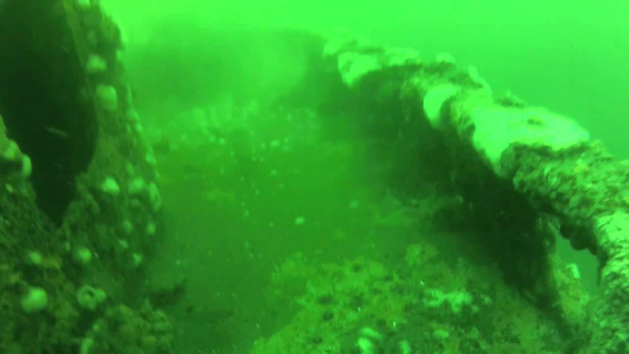 Queens Reeef Queen Reef Dive - Ocean City.mov - YouTube