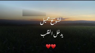 #عشائية  جديدة خاشعة تدخل القلب لجمالها#القارئ #محمد_اللحيدان من #سورة_يس