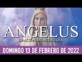 Ángelus de Hoy DOMINGO 13 DE FEBRERO de 2022 ORACIÓN DE MEDIODÍA