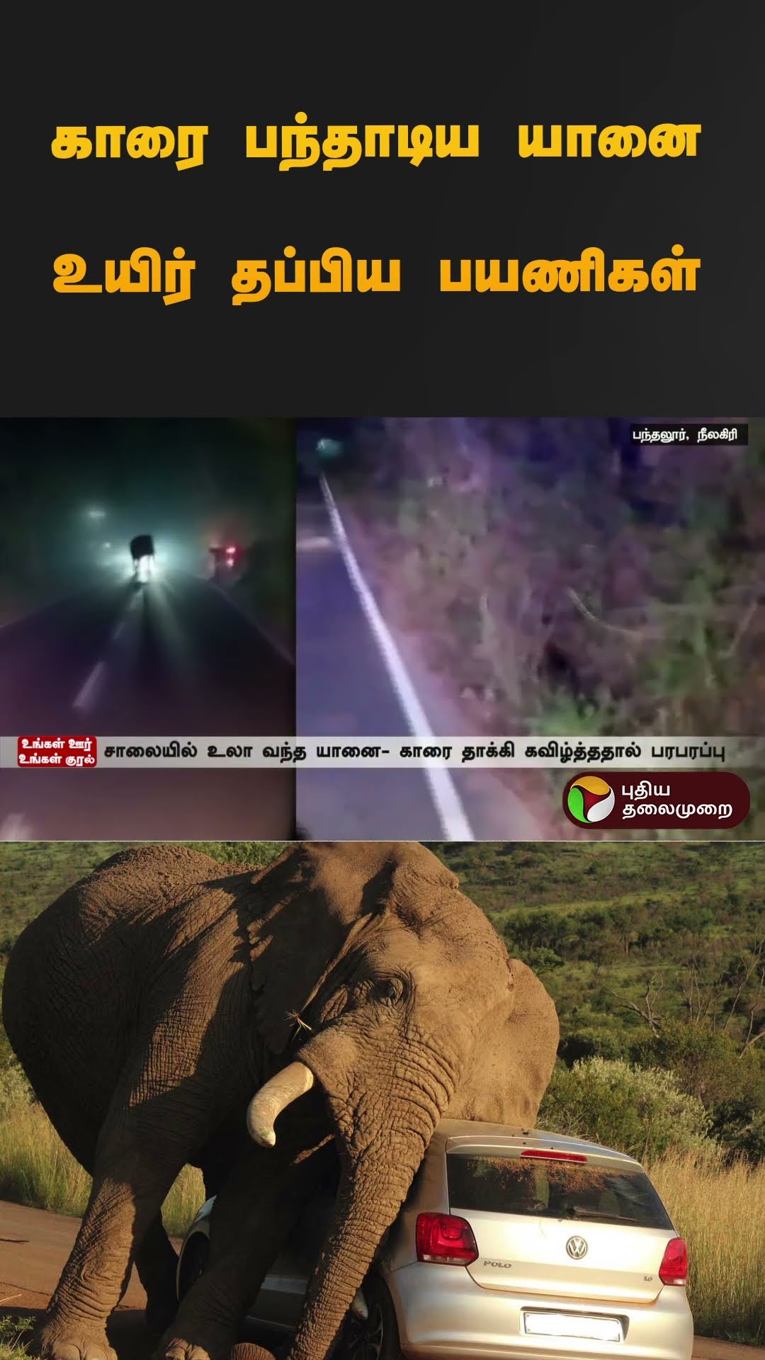காரை பந்தாடிய யானை உயிர் தப்பிய பயணிகள் | #nilgiris | #elephant | #shorts