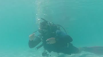 OWD Course - CW#4 skill   Hovering oral 1min