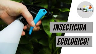 Chau plagas! INSECTICIDA casero, orgánico y ecológico. Súper fácil y eficaz!