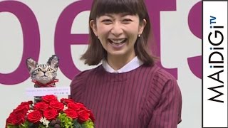 ELT持田香織、愛猫の名前は「リヴァイ」その由来は…　「第2回インターペット ベストスマイルアワード」授賞式2