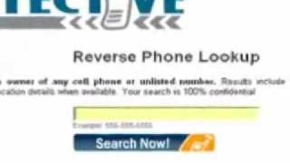 Reverse phone number lookup search tool screenshot 5