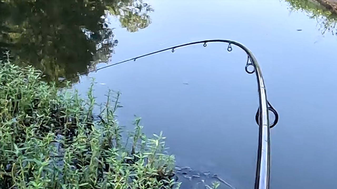 Glad I Stopped Here On The Way Home | Bass Fishing A Ditch