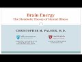 Dr chris palmer presentation brain energy the metabolic theory of mental illness