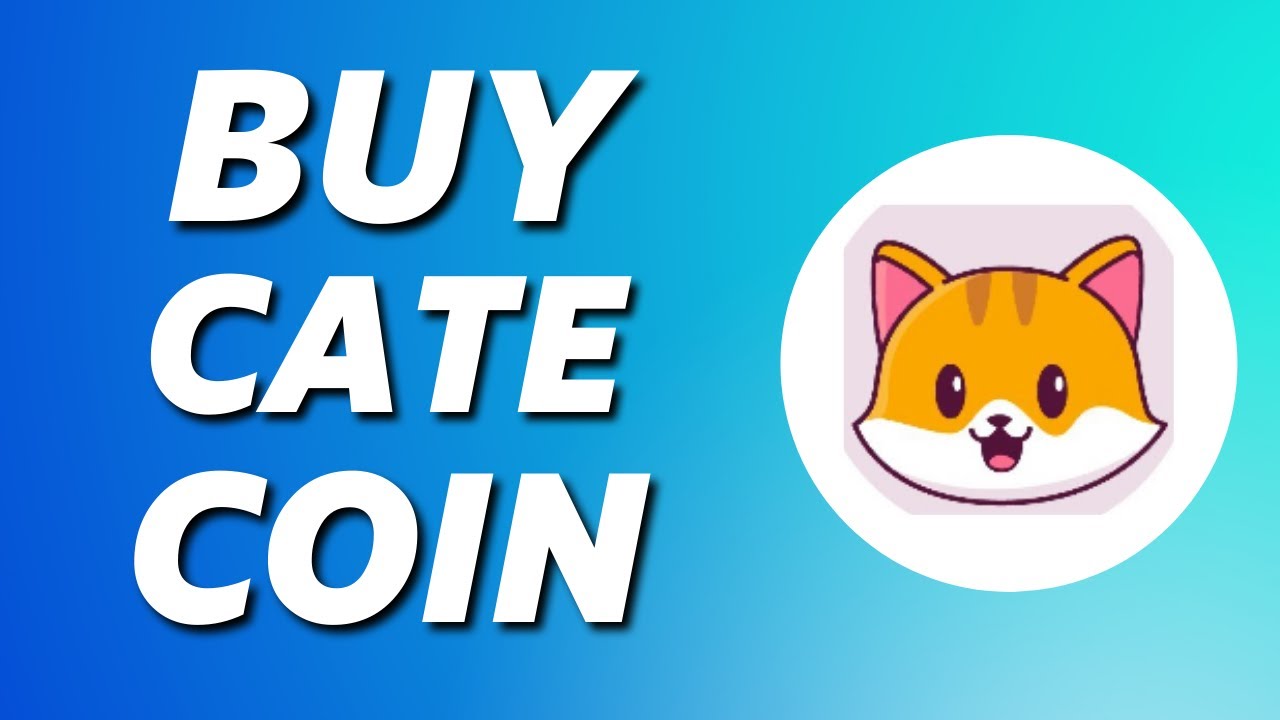 cat coin crypto price