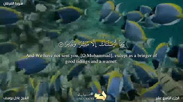 وما أرسلناك إلا مبشرا ونذيرا.... آيات لتعرفوا قدر رسولكم.... للشيخ عادل يوسف