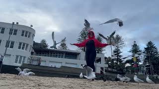 This Is A Very Jumpy Dance With Seagulls And Pigeons On My Head And Body (It’s So Funky)