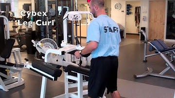 Cybex Leg Curl
