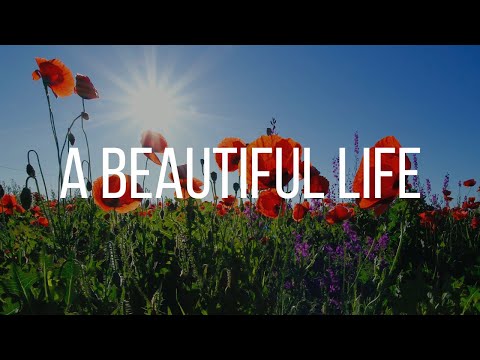 A beautiful life - Tim McMorris [LYRICS]