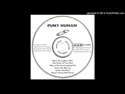 Puny Human - Brian's Song (DV Party)