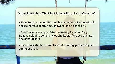 What Beach Has The Most Seashells In South Carolina? - Beach Tour Guide