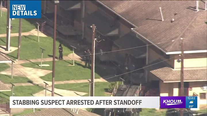 Female stabbing suspect in custody after bizarre roof standoff in north Houston