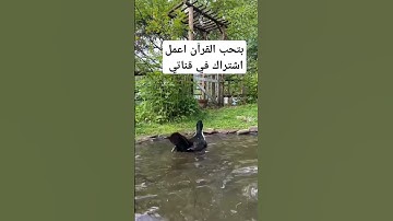 #تلاوة_خاشعة #تلاوة_هادئة #إسلام_صبحي #اسلام_صبحي #خواتيم_سورة_المؤمنون #اكسبلور #قرآن_كريم #اكلتك
