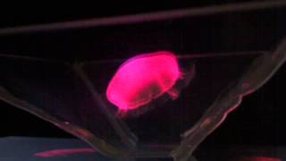 Smartphone hologram projector by Andrew Weekes 327 views 8 years ago 6 minutes, 31 seconds