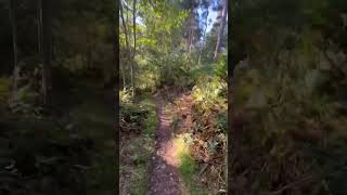 Heading down to the Top Pond
