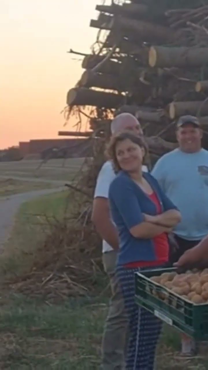 Fendt Werbefilm 60er Jahre (Teil 2) Fendt Farmer 2 Feldarbeit