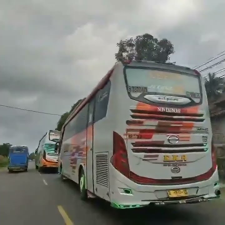 STORY WA BUS EKA CEPAT TERBARU FULL GAYA BEBAS TERBARU ||2022