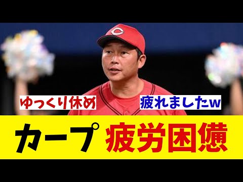 カープ　5時間の大移動で疲労困憊・・・【野球情報】【2ch 5ch】【なんJ なんG反応】【野球スレ】