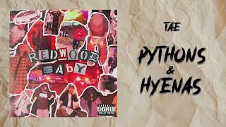 TAE - Pythons & Hyenas [Official Audio]