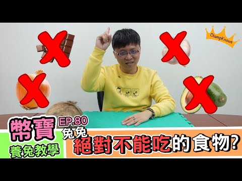 兔兔絕對不能吃的食物，有哪些？｜幣寶養兔教學系列 EP 80｜ChamKnows【冠軍知道】