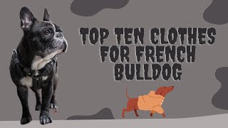 Top ten clothes for French Bulldog |  The 10 Best Clothes for Your Furry Friend | Pet Knowledge Zone by Pet Knowledge Zone 14 views 1 year ago 3 minutes, 37 seconds