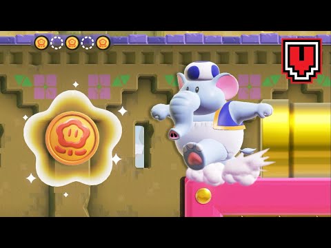 [100%] Pipe Park