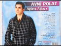 Avni Polat - Aras (Official Audio)