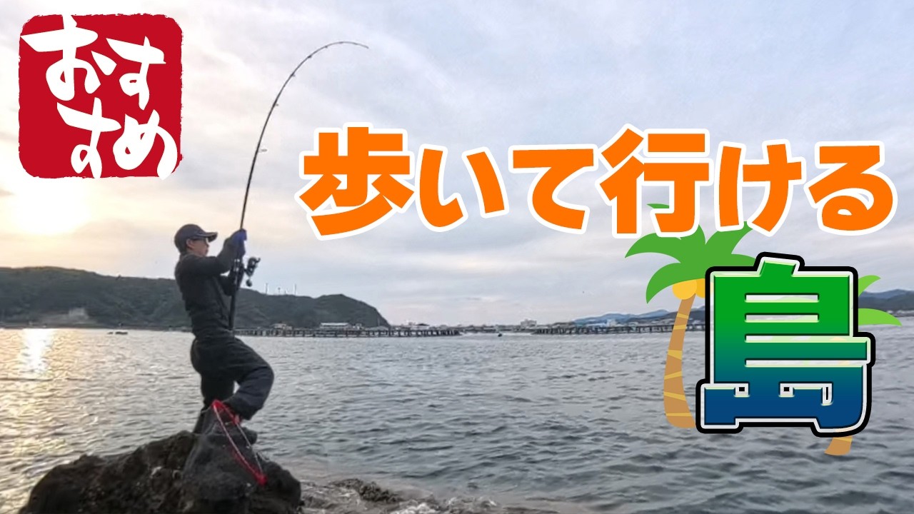 I caught a fish while shore jigging. Fishing spot introduction