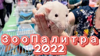 Выставка Зоопалитра 2022 | Покупки с Ikea