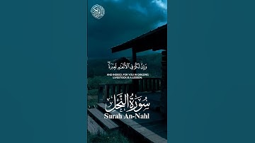سورة النحل | الآية-67-65 | القاری محمد اللحيدان