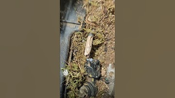 PO330. Knock sensor code fix. Tundra.#mechanic #toyota #mobilemechanic #diagnosis