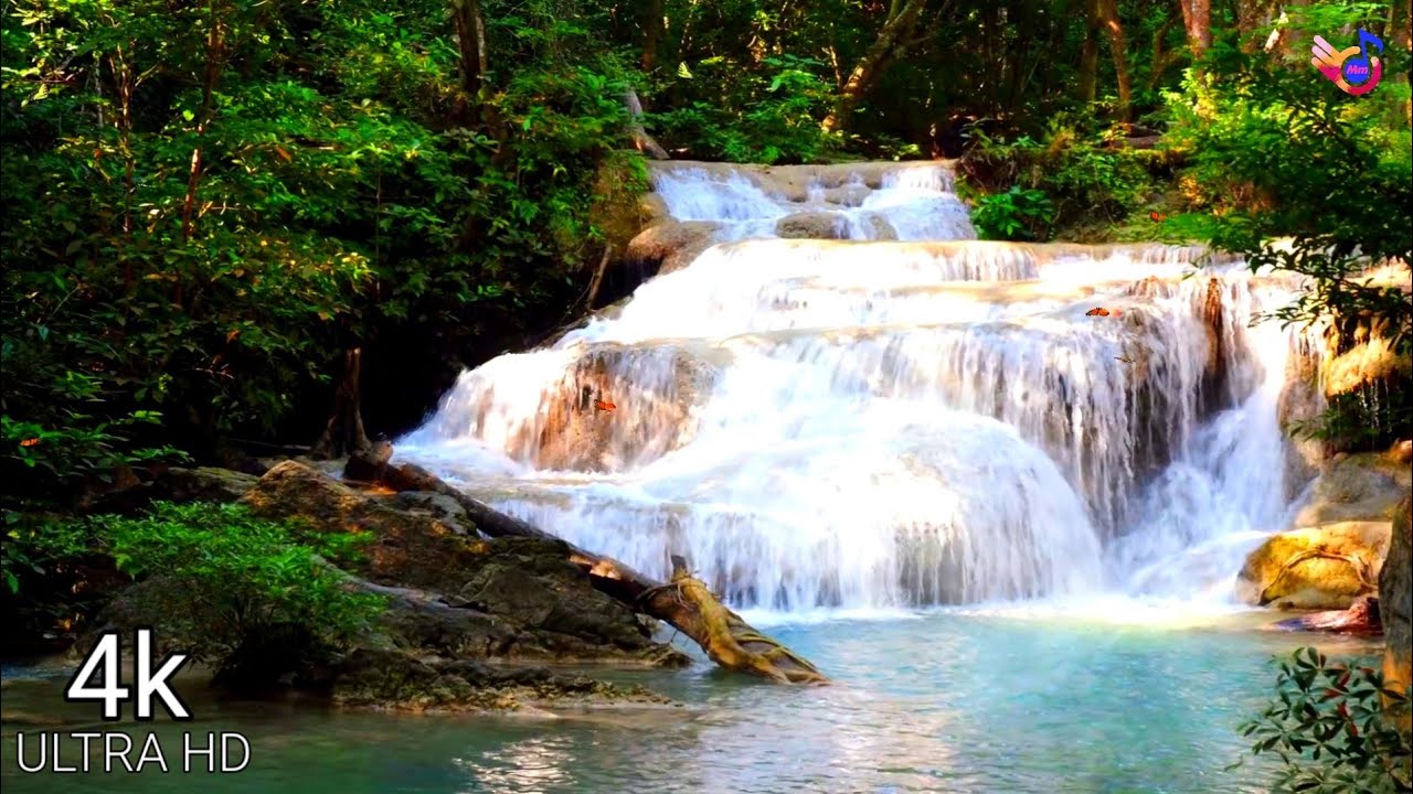 Relaxing Music with Nature Sounds | Waterfall 4k | Nature Relaxing ...