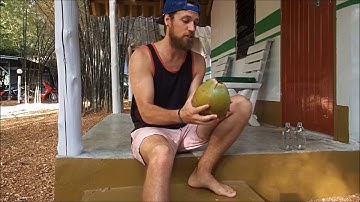 How to: Open a Coconut with No Tools! Easy!