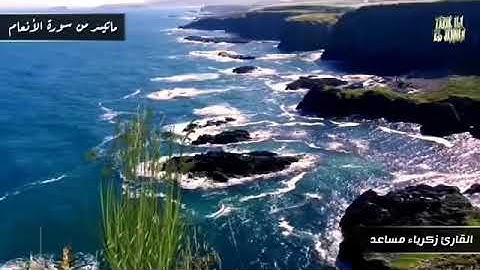 تلاوة من سورة الأنعام للقارئ زكريا مساعد