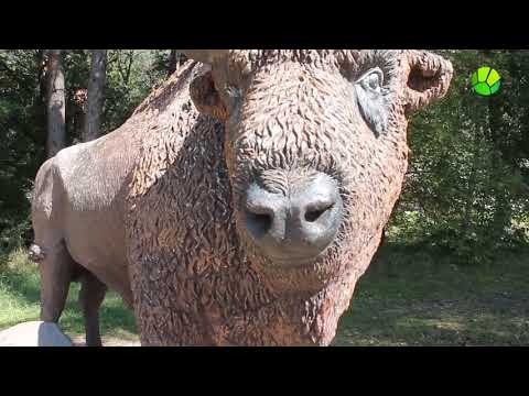 Большой брат