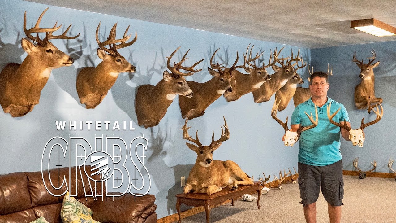 Pennsylvania Whitetail Cribs Home Full Of New York, Ohio, and PA BUCKS