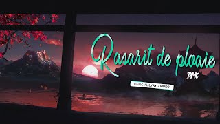 DMC - Rasarit de ploaie (Lyric Video)