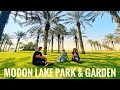 Modon lake park  garden dammam