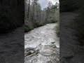 Video Tutorial Quiz