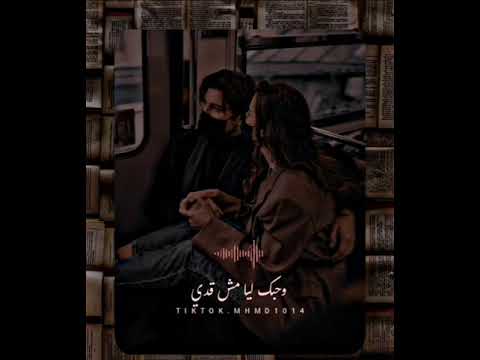تامر عاشور